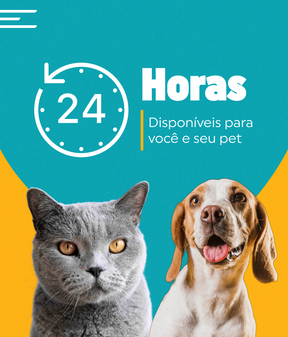 Banner Menin Centro Veterinário - Plantão 24 Horas